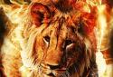 Fire Lion Live Wallpaper screenshot 2 Fire Lion Live Wallpaper screenshot 2