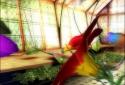 Magic Greenhouse 3D Pro lwp screenshot 3 Magic Greenhouse 3D Pro lwp screenshot 3