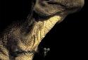Dino T-Rex 3D Live Wallpaper screenshot 3