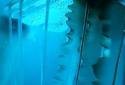 Night Light Jelly Fish 3D LWP screenshot 1