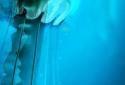 Night Light Jelly Fish 3D LWP screenshot 4