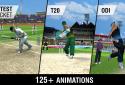 Cricket World Championship 2 screenshot 12