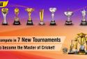 Cricket World Championship 2 screenshot 4