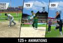 Cricket World Championship 2 screenshot 6