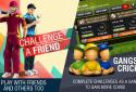 Cricket World Championship 2 screenshot 8
