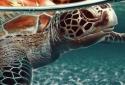 Ocean Turtle Water Pool screenshot 3