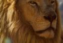 Tiger Lion Live Wallpaper screenshot 3