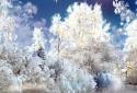 Snowfall Live Wallpaper screenshot 1 Snowfall Live Wallpaper screenshot 1