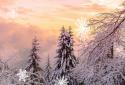 Snowfall Live Wallpaper screenshot 5 Snowfall Live Wallpaper screenshot 5