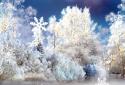 Snowfall Live Wallpaper screenshot 9 Snowfall Live Wallpaper screenshot 9