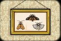 Rusty Lake Hotel screenshot 3
