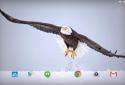 Winter Life Live Animals WP screenshot 6