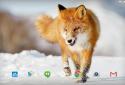Winter Life Live Animals WP screenshot 7