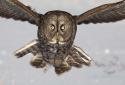 Winter Life Live Animals WP screenshot 9