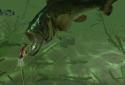 Rapala Fishing - Daily Catch screenshot 8