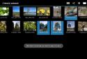 Photo Mate R2 screenshot 16