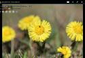 Photo Mate R2 screenshot 5