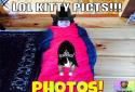 InstaKitty 3D-Virtual Cat Sim screenshot 10