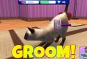 InstaKitty 3D-Virtual Cat Sim screenshot 4