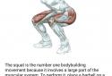 FitAdvisor - workout screenshot 5