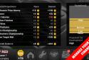 FL Racing Manager 2017 Pro screenshot 8