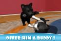 Daily Kitten : віртуальний кіт screenshot 5