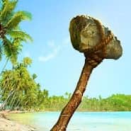 Survival Island Pro