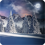 Winter Snowfall Day Night Real 3D FREE Christmas