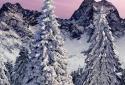 Winter Snowfall Day Night Real 3D FREE Christmas screenshot 2