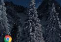 Winter Snowfall Day Night Real 3D FREE Christmas screenshot 3