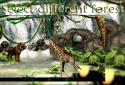 Waterfall 3D Live Wallpaper screenshot 5