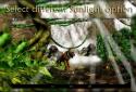 Waterfall 3D Live Wallpaper screenshot 7