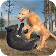 Clan of Puma