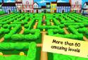 InaMaze: Labyrinths screenshot 8