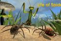 Life of Spider screenshot 7