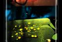 Firefly Jungle II LWP screenshot 1