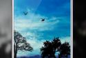 Blue Sky Free Live Wallpaper screenshot 1