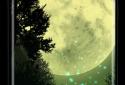 Firefly Forest Live Wallpaper screenshot 1