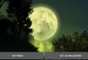 Firefly Forest Live Wallpaper screenshot 17