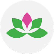 Yoga Studio: Mind & Body
