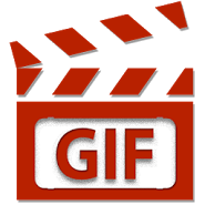 Video to Gif Gif from video)