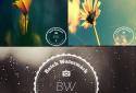 Batch Watermark screenshot 1