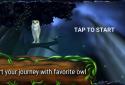 Owl's Midnight Journey - Free screenshot 1