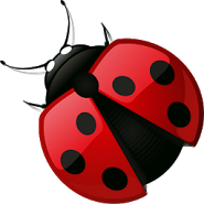 Похудение без диеты c СИТ30