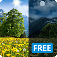 Dandelions Flowers True 3D Live Wallpaper FREE LWP