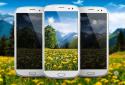 Dandelions Flowers True 3D Live Wallpaper FREE LWP screenshot 1