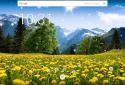 Dandelions Flowers True 3D Live Wallpaper FREE LWP screenshot 5