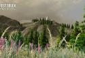 Лісовий вантажівка ігри screenshot 3