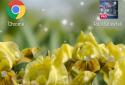 Iris Flowers Realistic Live Wallpaper True 3D FREE screenshot 1 Iris Flowers Realistic Live Wallpaper True 3D FREE screenshot 1