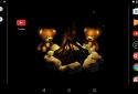 Teddy Живі Шпалери screenshot 3